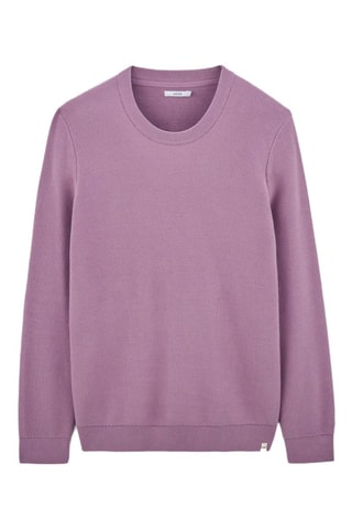 Pull en coton biologique - Violet