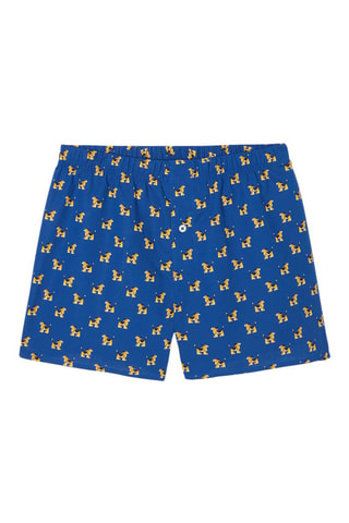 Boxers em algodão biológico - Azul-celeste