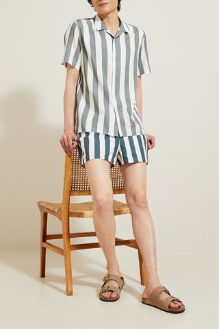 Camisa regular - Verde-claro