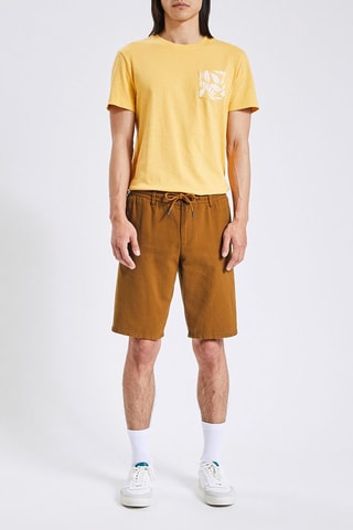 Bermudas Castanho