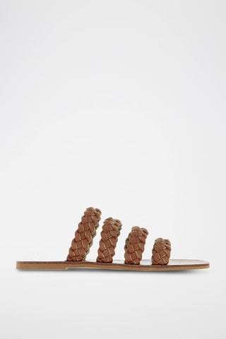 Mules - Camel