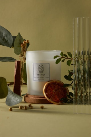 Bougie parfumée Botanical Sanctuary - 60 g