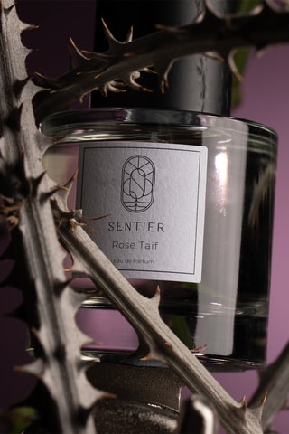 Rose Taif Sentier - Eau de parfum 100 ml
