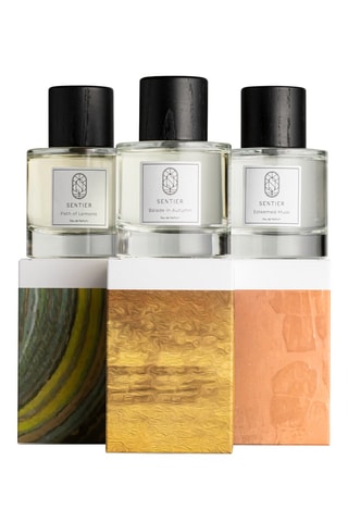 Coffret Musc Estimé, Balade en Automne et La Voie des Citrons - 3 produits
