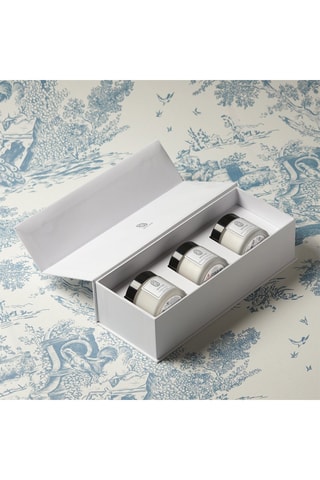 Coffret bougies de Noël Golden River, Botanical Sanctuary et The Florist’s Garden - 3 produits