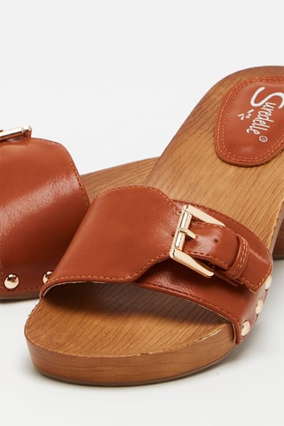 Mules - Camel