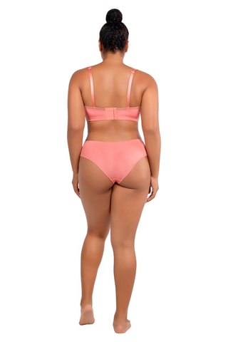 Shorty Dalis - Rose