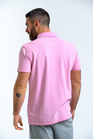 Polo Rose