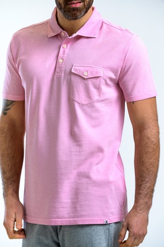 Polo Rose