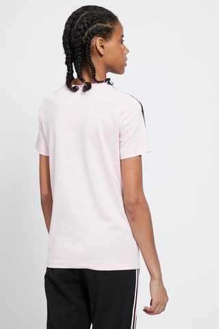 T-shirt American Classics Rose