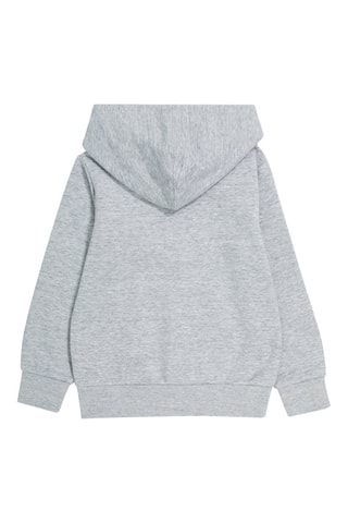 Sweat à capuche American Classics Gris chiné