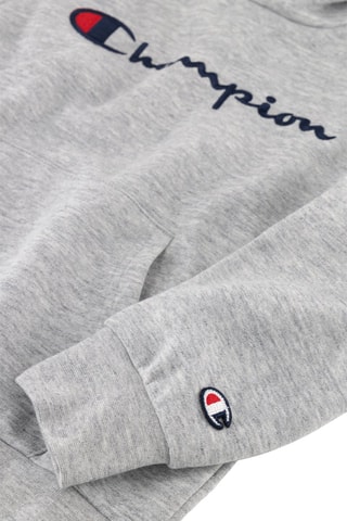 Sweat à capuche American Classics Gris chiné