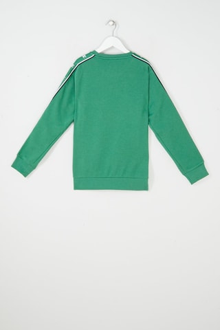 Sweat Vert