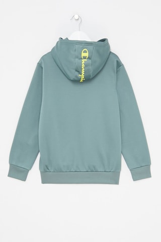Sweat à capuche American Tech Bleu-gris