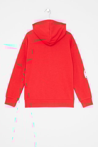 Sweat à capuche Basketball Rouge