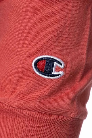Polo - Rood