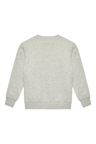 Sweat - Gris clair