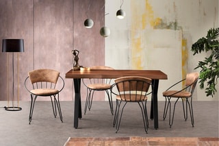 2 chaises - 60 x 50 x 76,5 cm