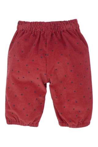 Velours Broek - Rood
