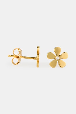 Puces - Or jaune 18 carats