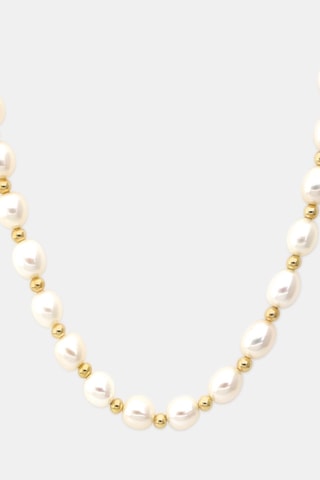 Collier - Or jaune et perles de culture
