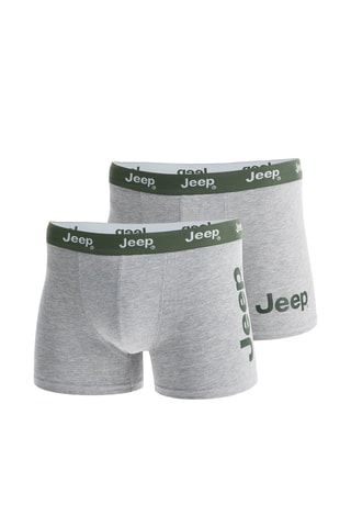 2 boxers Cinzento
