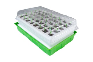 2 kits de germinações - 39 x 25,5 x 18,5 cm -  2 x 40 elementos