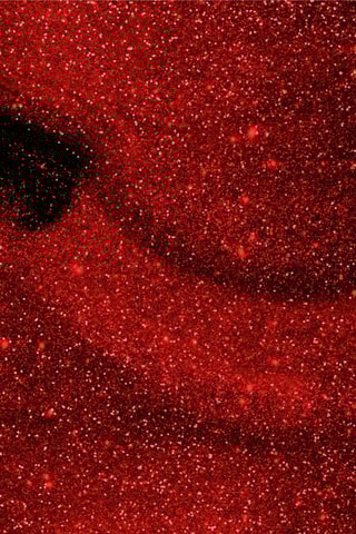 Verniz semi-permanente - N°233 Flashy Red - 15 ml