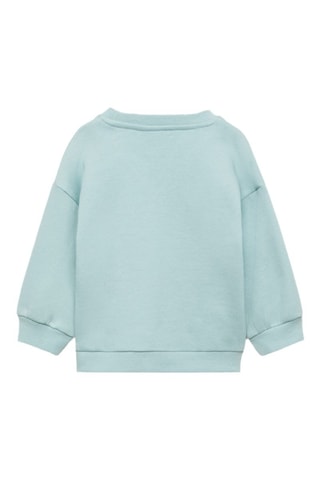 Sweat-shirt broderie florale - Vert d'eau