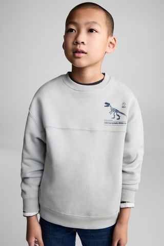 Sweat-shirt coton imprimé - Gris clair