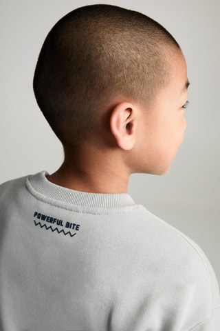 Sweat-shirt coton imprimé - Gris clair