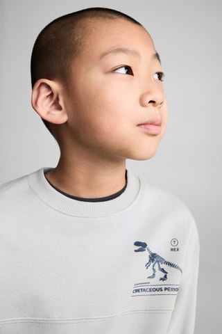Sweat-shirt coton imprimé - Gris clair