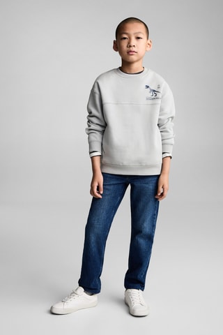 Sweat-shirt coton imprimé - Gris clair