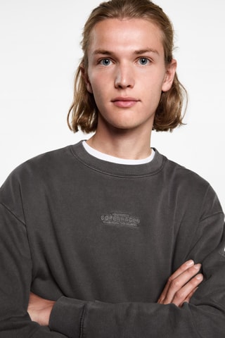 Sweat-shirt coton détails brodés - Anthracite