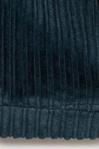 Short velours milleraies boutons - Anthracite