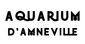 LOGO_V4