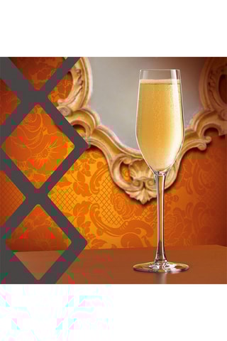 6 flutes de champanhe em cristalino Expert - 16 cl