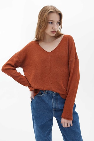 Trui Steenrood