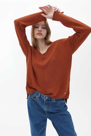 Trui Steenrood
