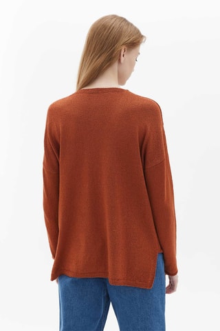 Trui Steenrood