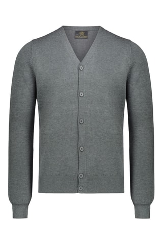 Vest - Grijs