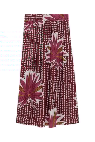 Rok Jelisa - Rood
