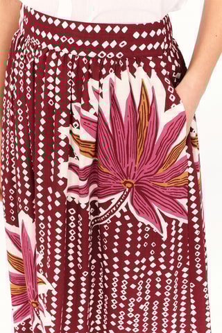 Rok Jelisa - Rood