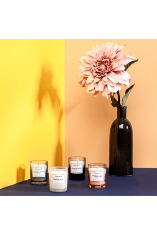 4 velas perfumadas - Têxtil fresco, camélia, orquídea e âmbar