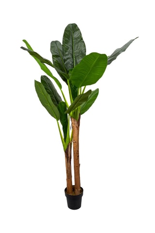 Bananeira artificial XXL 45 x 45 x 160 cm