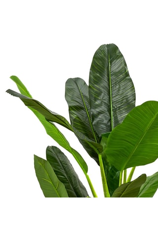 Bananeira artificial XXL 45 x 45 x 160 cm