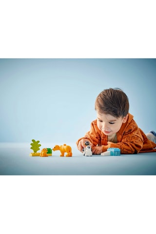 Familles d’animaux sauvages : pingouins et lions LEGO® DUPLO® - 10 pièces - Dès 2 ans