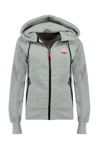 Sweat à capuche - Gris clair - Canadian Peak