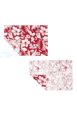 2 Placemats - 35 x 50 cm