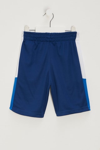 2 shorts - Bleu et blanc